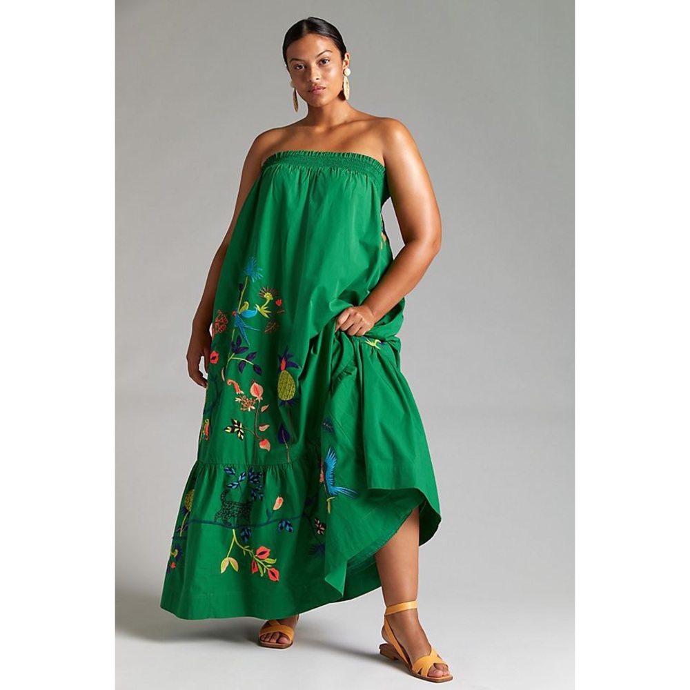 NWOT Anthropologie embroidered ruffle maxi dress